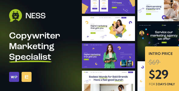 Ness - Marketing Agency & SMM WordPress Theme