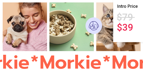 Morkie - Pet Shop and Pet Care Theme