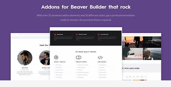 Livemesh Addons for Beaver Builder (Premium)