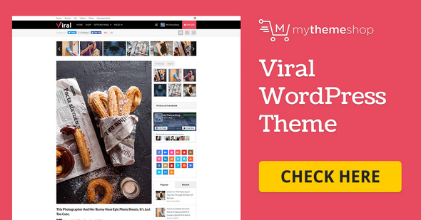 Viral – WordPress Theme For Social Media Marketers