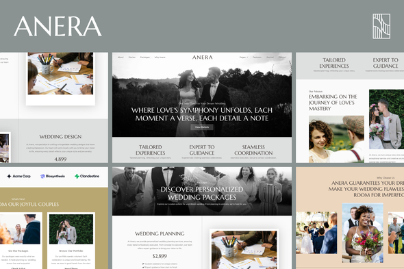 Anera - Wedding Organizer Elementor Template Kit