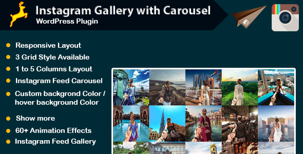 Instagram Gallery with Carousel for WordPress